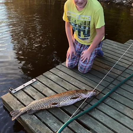 Kesaemoekki Kalliola Heinola